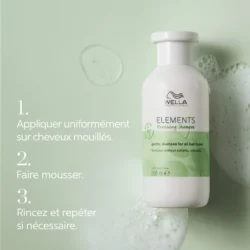 Elements Shampoing Renewing Wella 1000ml 12 Elements Shampoing Renewing Wella 1000ml -Beauté Naturelleac Magasin 114.12 5 85792.1693904218