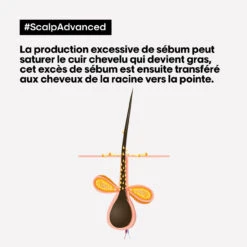 Shampooing Dermo-purifiant Anti Gras Scalp Advanced L'Oréal 1500ml 9 Shampooing Dermo-purifiant Anti Gras Scalp Advanced L'Oréal 1500ml -Beauté Naturelleac Magasin 3474637106416 4 47452.1684847766