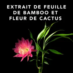 Volupt Spray Sebastian 150ml 9 Volupt Spray Sebastian 150ml -Beauté Naturelleac Magasin 52361 4 35228.1688735230