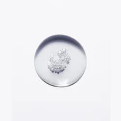 Bain Régénérant Chronologiste 250ml -Beauté Naturelleac Magasin Bain Regenerant Chronologiste 98028.1686228915