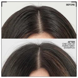 Shampoing Amino-Mint Redken 300ml -Beauté Naturelleac Magasin amino.1 56956.1694765720