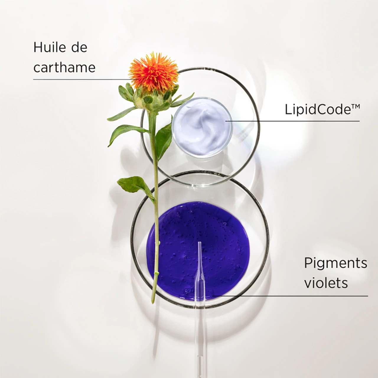 Shampooing LuxeBlond System Professional 1000ml 4 Shampooing LuxeBlond System Professional 1000ml – Image 2