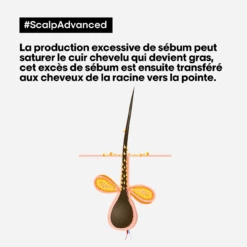 Shampooing Dermo-Purifiant Anti Gras Scalp Advanced L'Oréal 500ml -Beauté Naturelleac Magasin scalp advanced anti gras se bum 13592.1684847787